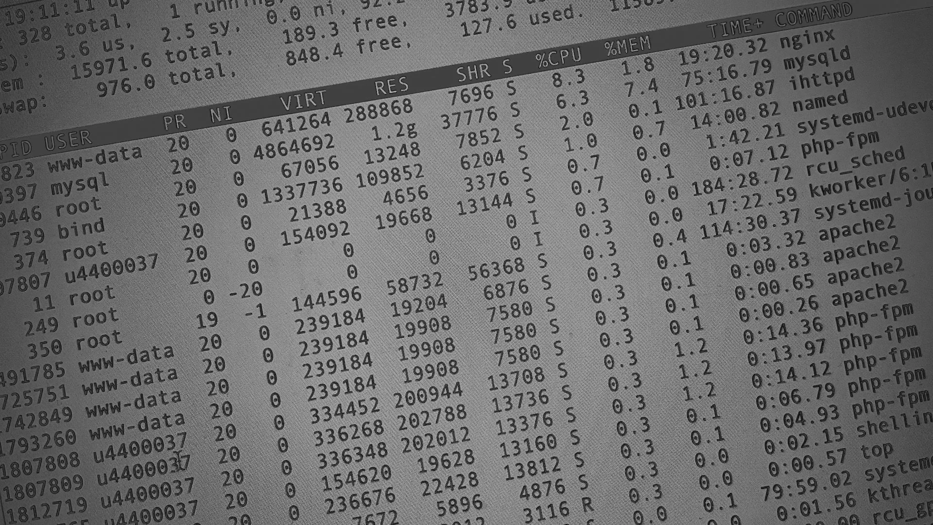 Настройка сервера в Новокузнецке